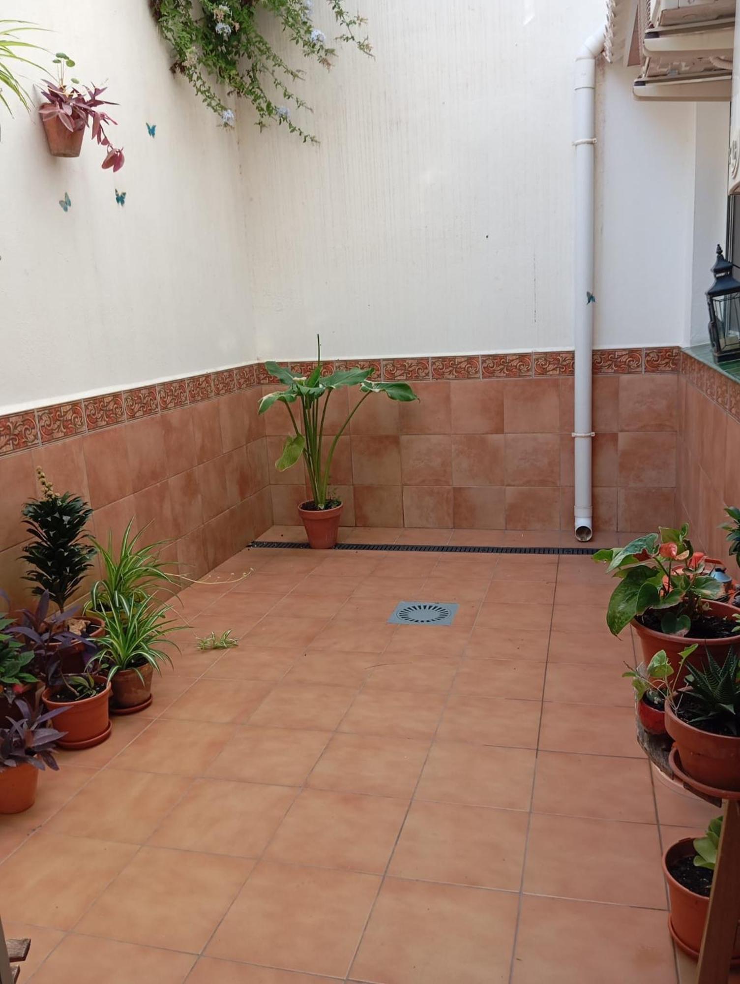 Apartamento Amapola مالقة المظهر الخارجي الصورة